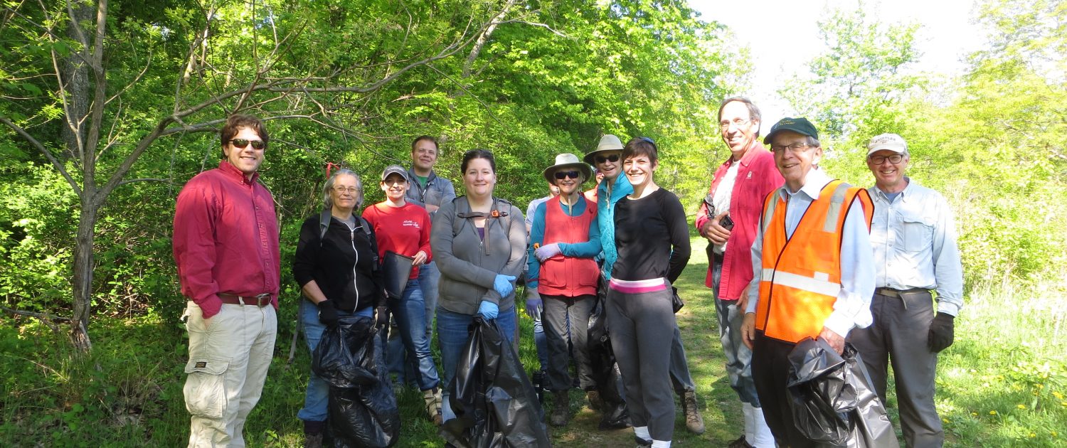 Volunteers planting trees