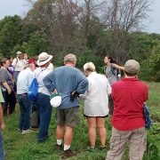 Nature conservation volunteers